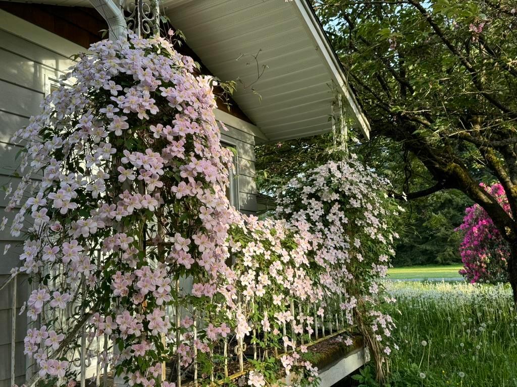 Listing Image for R3109896