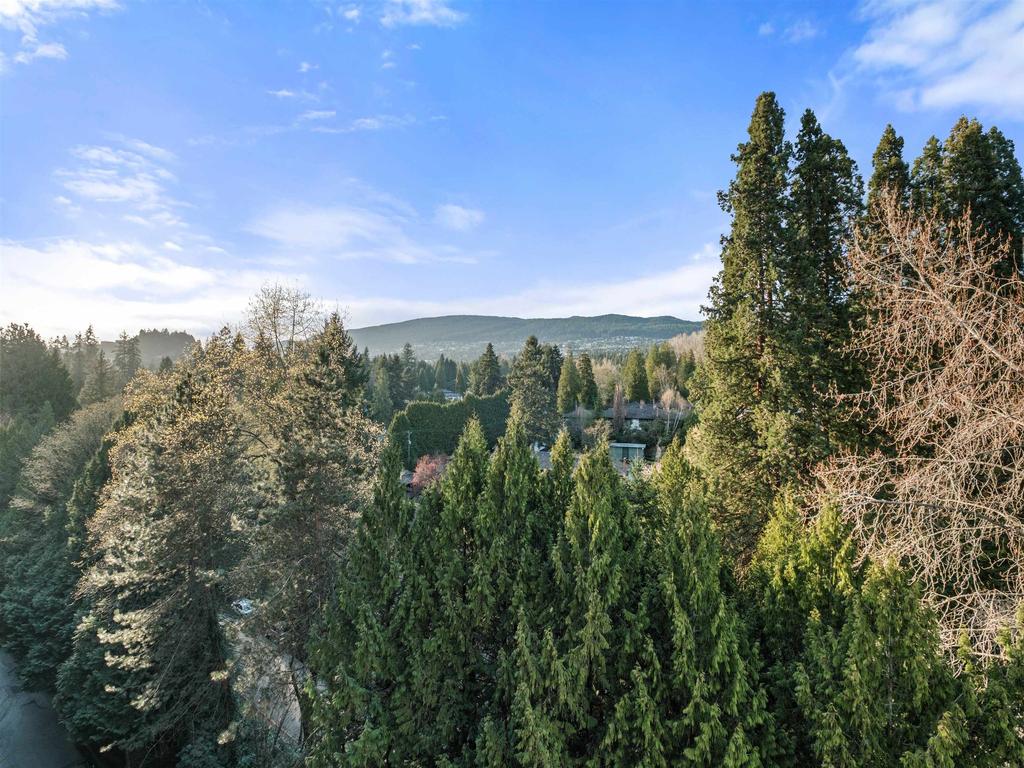 Listing Image for R3110011