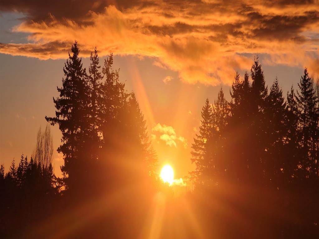 Listing Image for R3110164