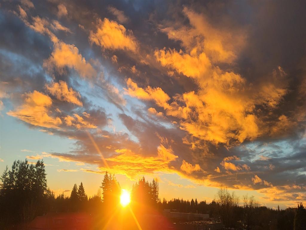 Listing Image for R3110164