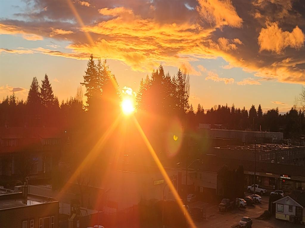 Listing Image for R3110164