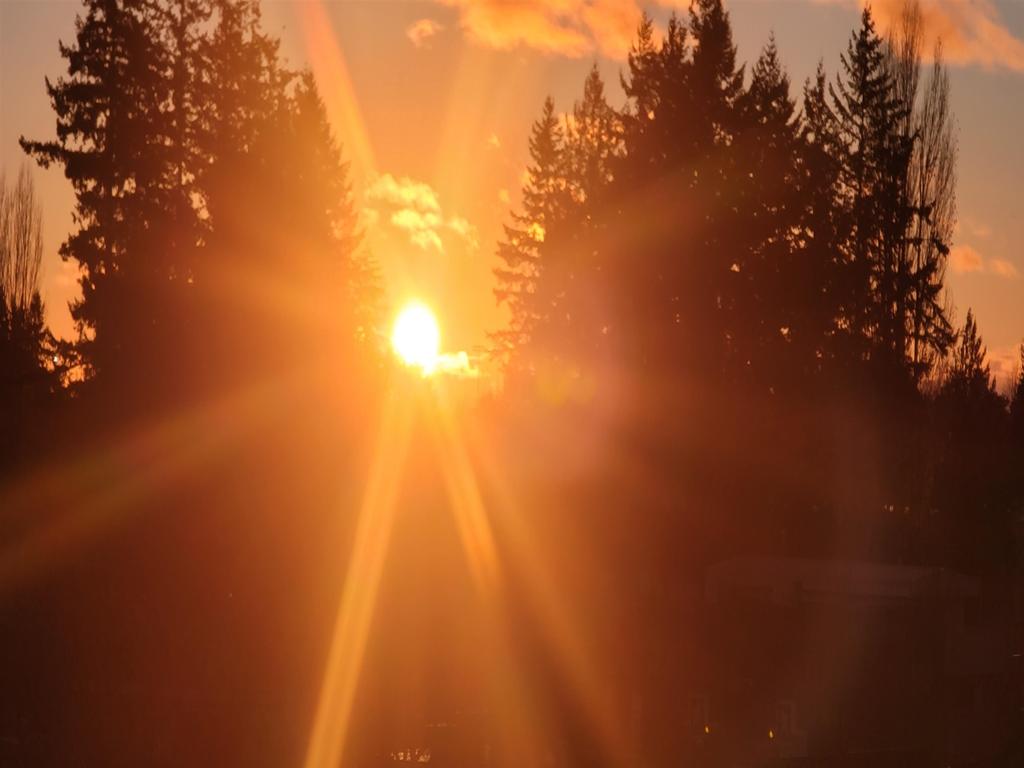 Listing Image for R3110164