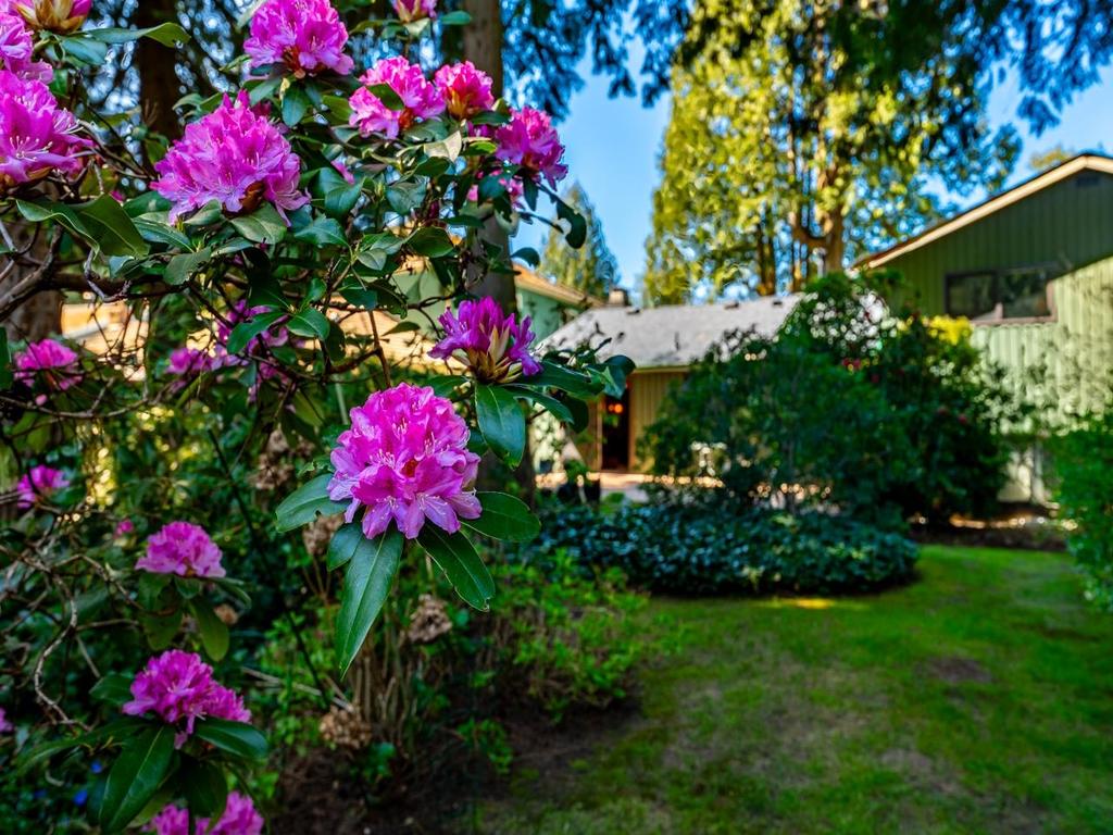 Listing Image for R3110566