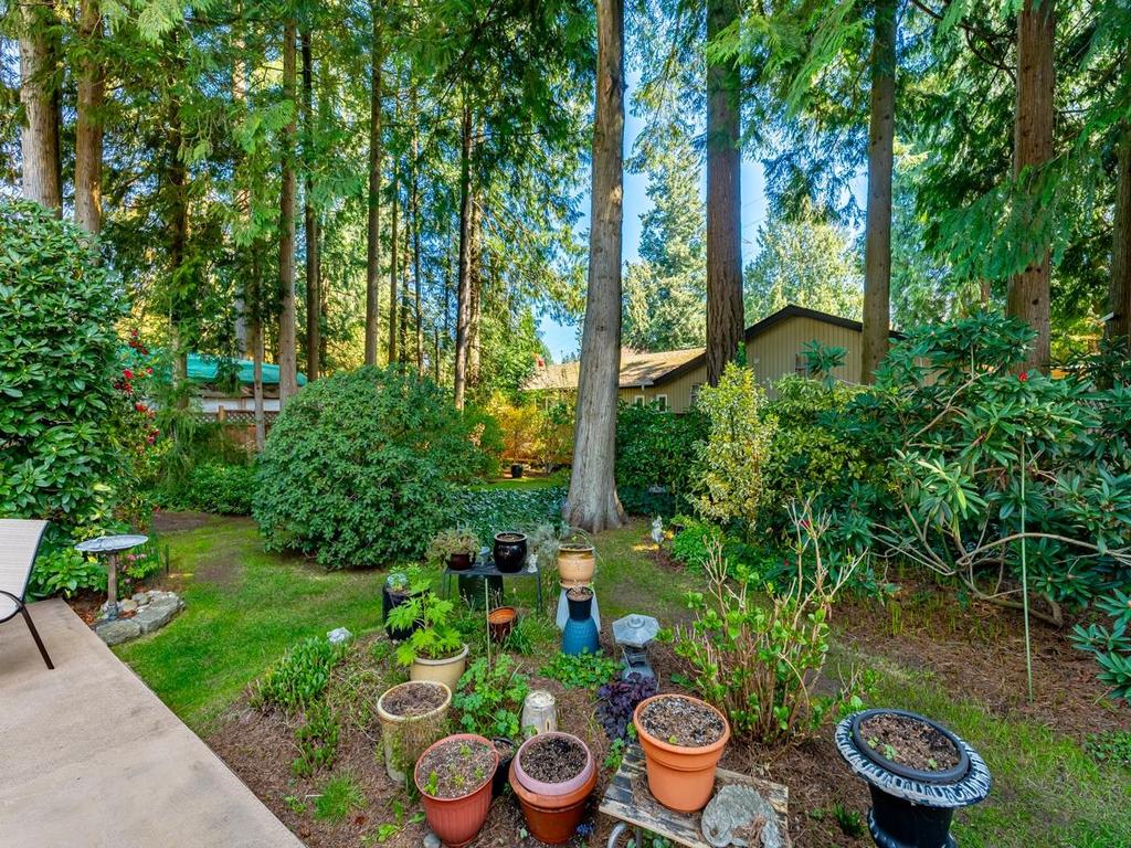 Listing Image for R3110566