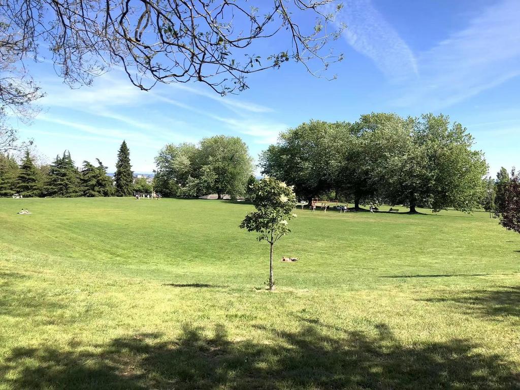 Listing Image for R3110672