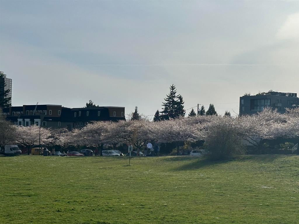 Listing Image for R3110672