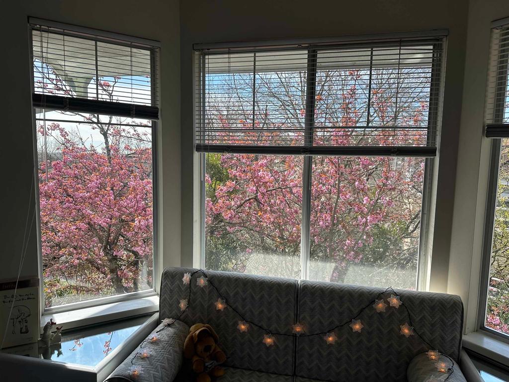 Listing Image for R3110672