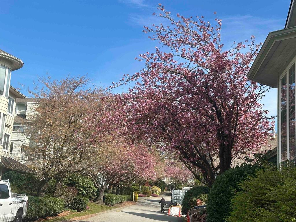 Listing Image for R3110672