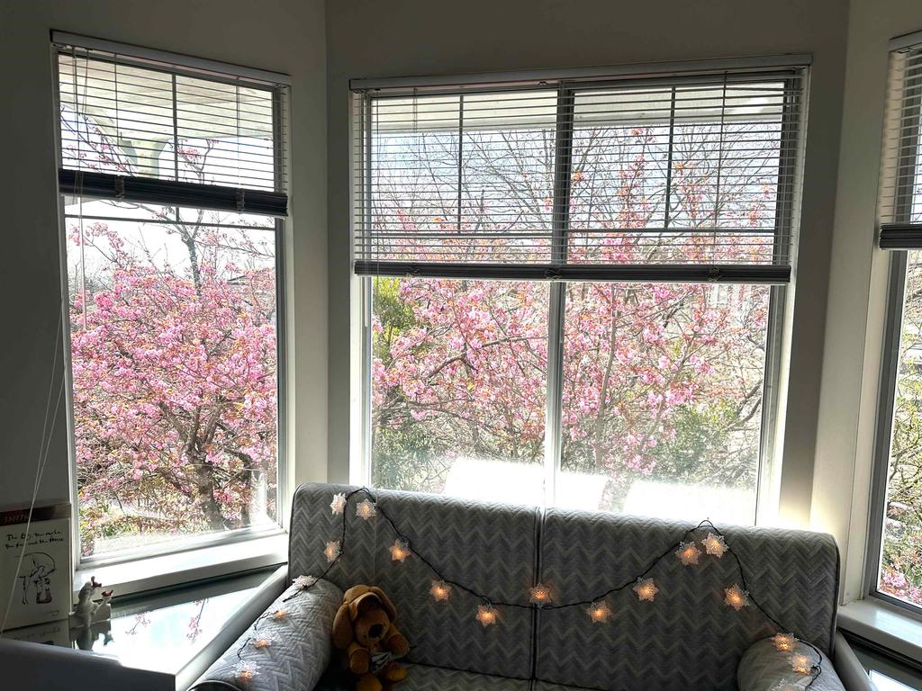 Listing Image for R3110672