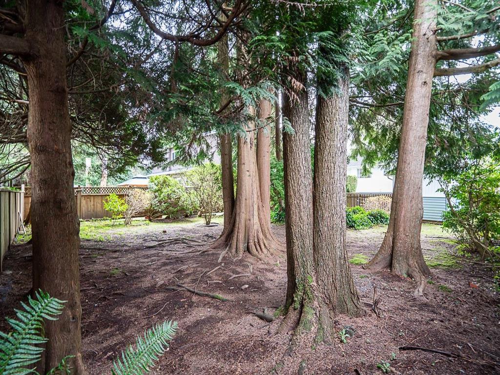 Listing Image for R3110908