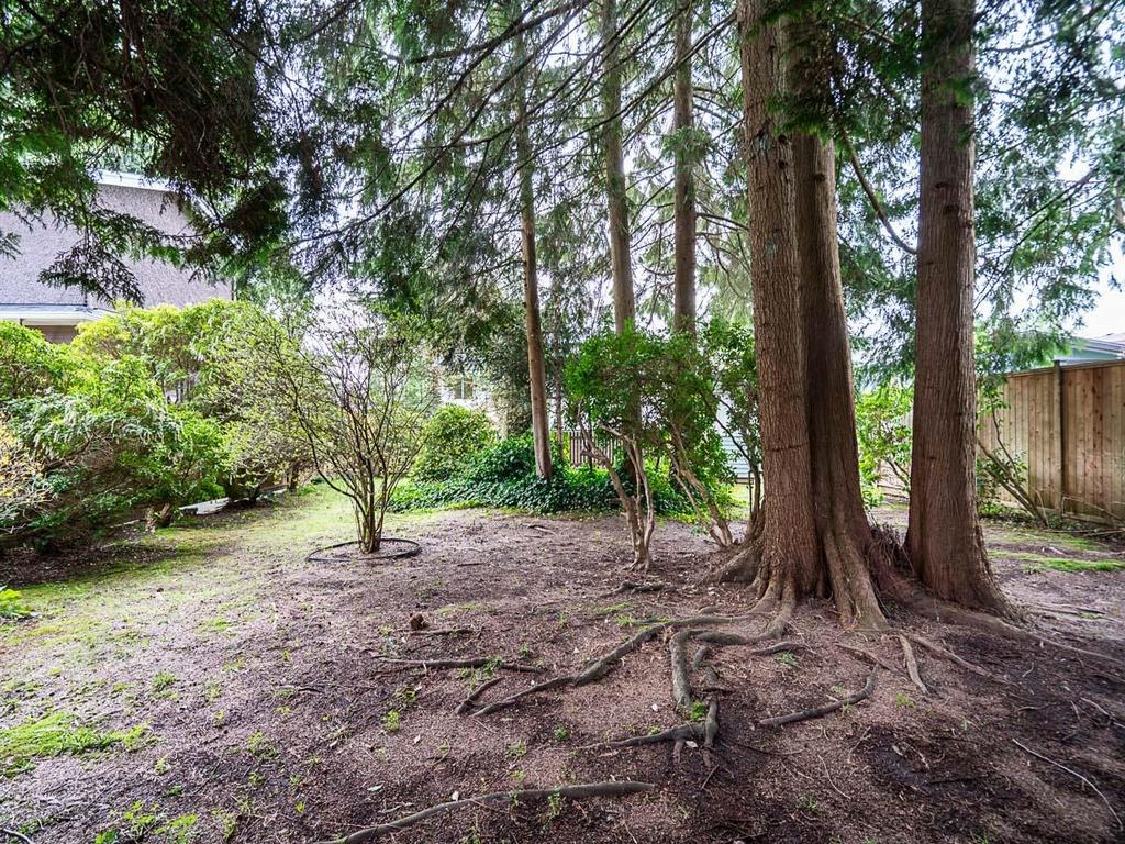 Listing Image for R3110908