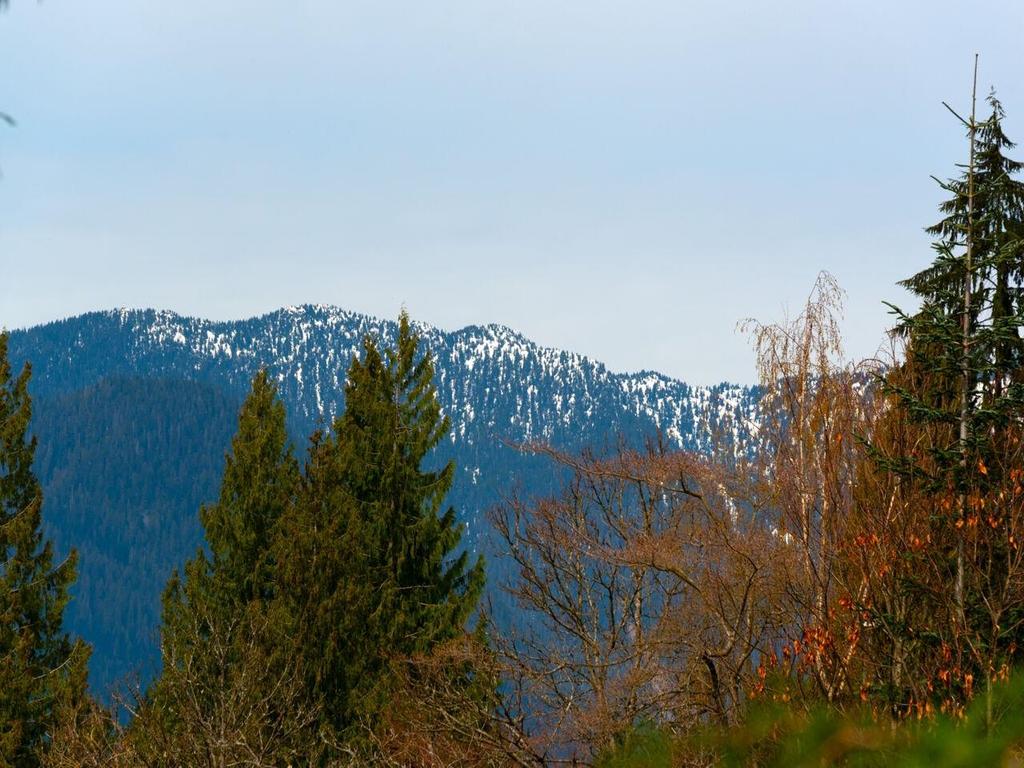 Listing Image for R3110991