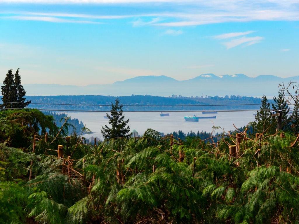 Listing Image for R3110991