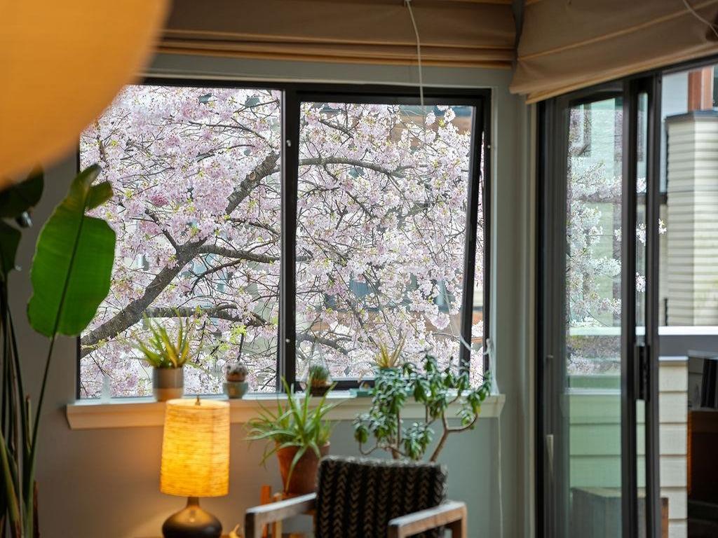 Listing Image for R3110997