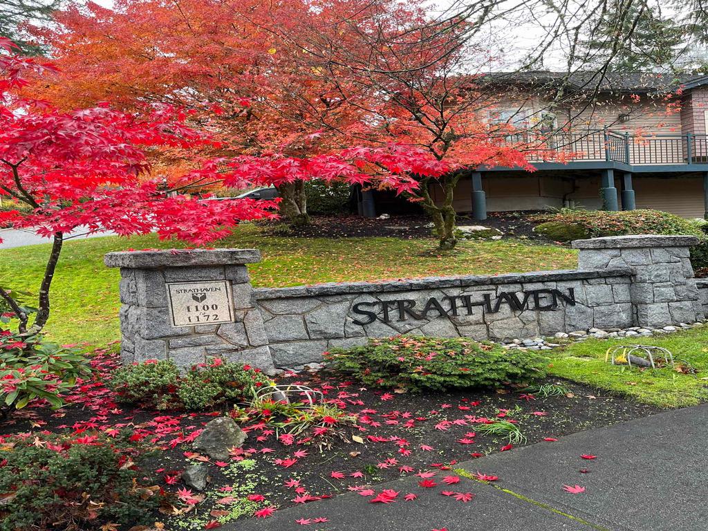 Listing Image for R3111118