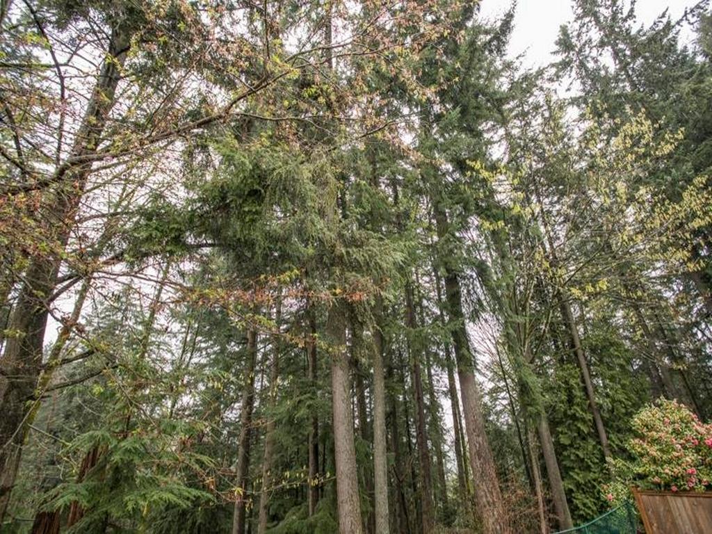 Listing Image for R3111397