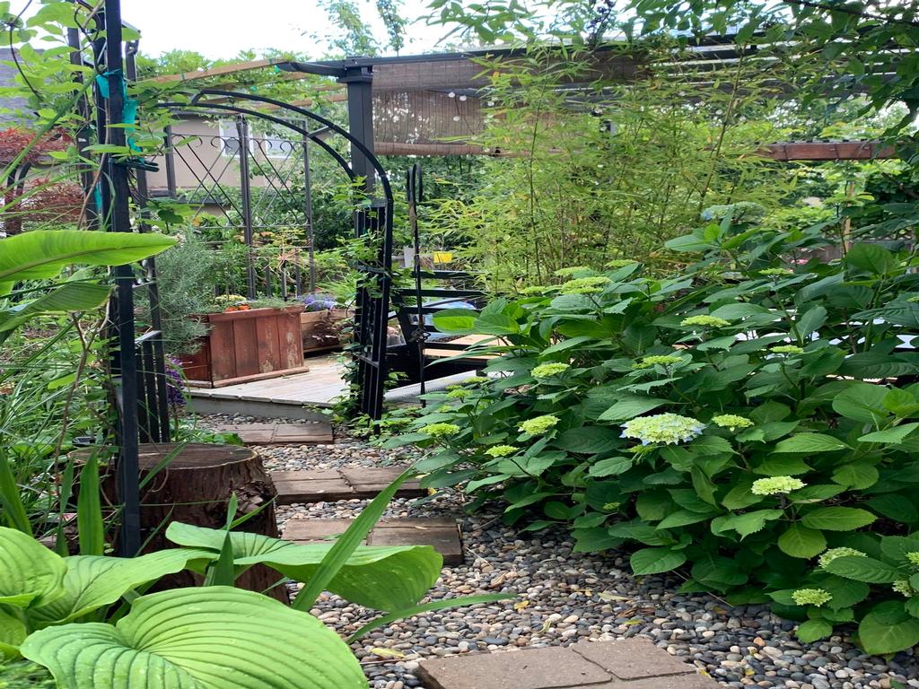 Listing Image for R3111610