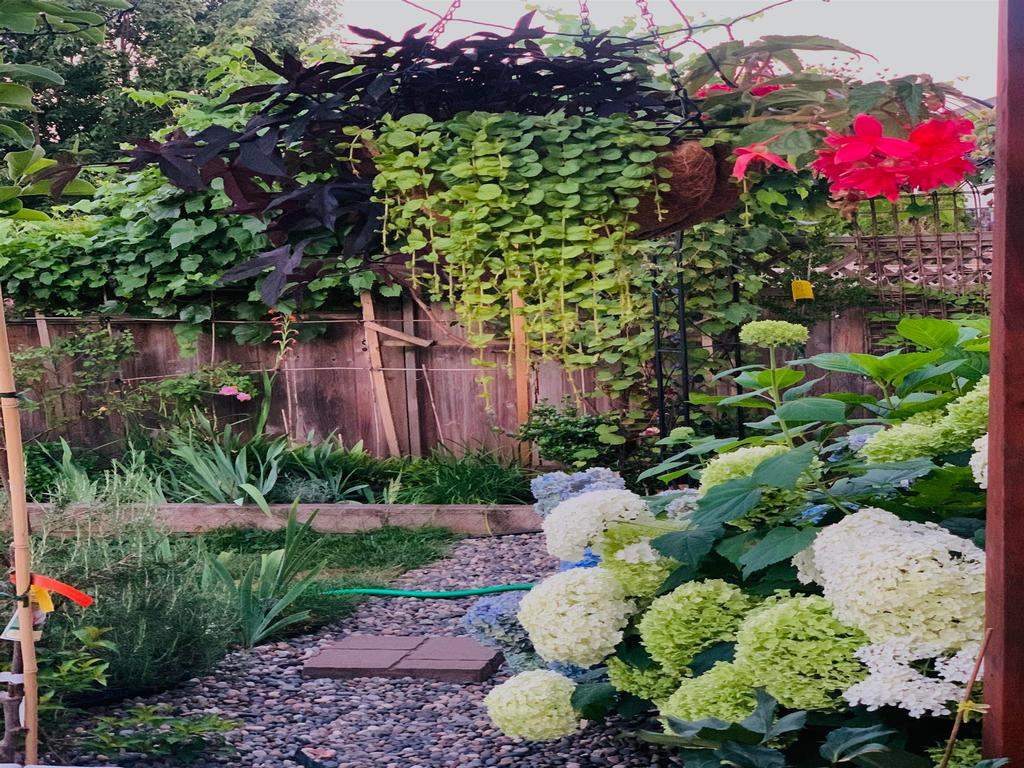 Listing Image for R3111610