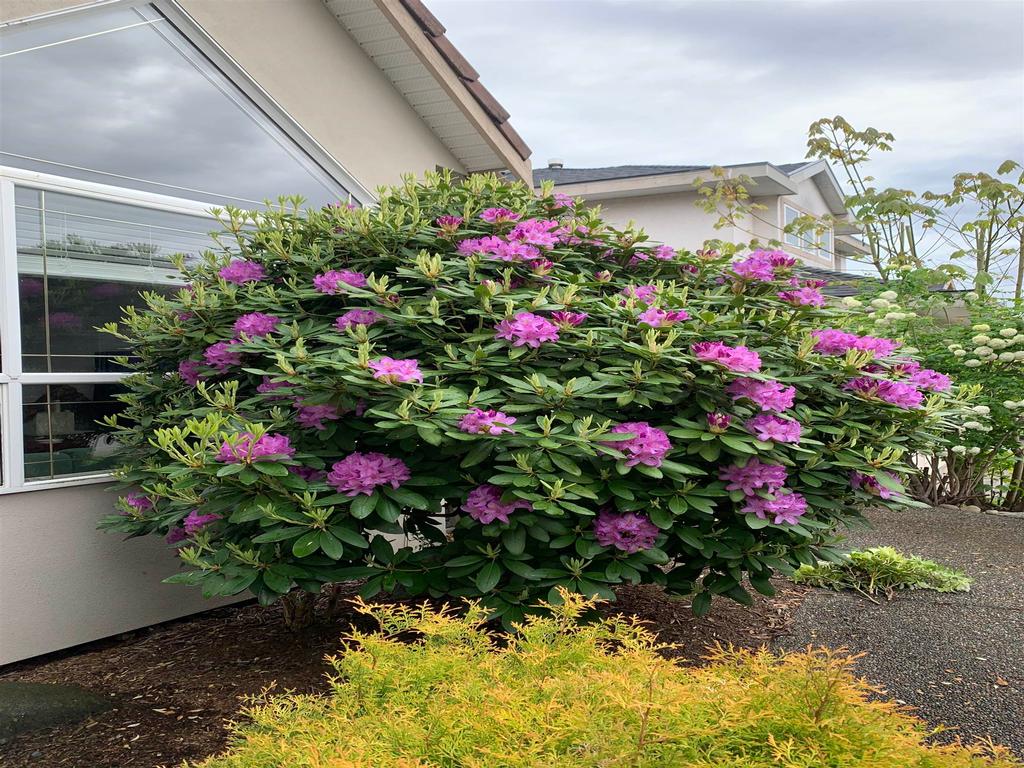 Listing Image for R3111610