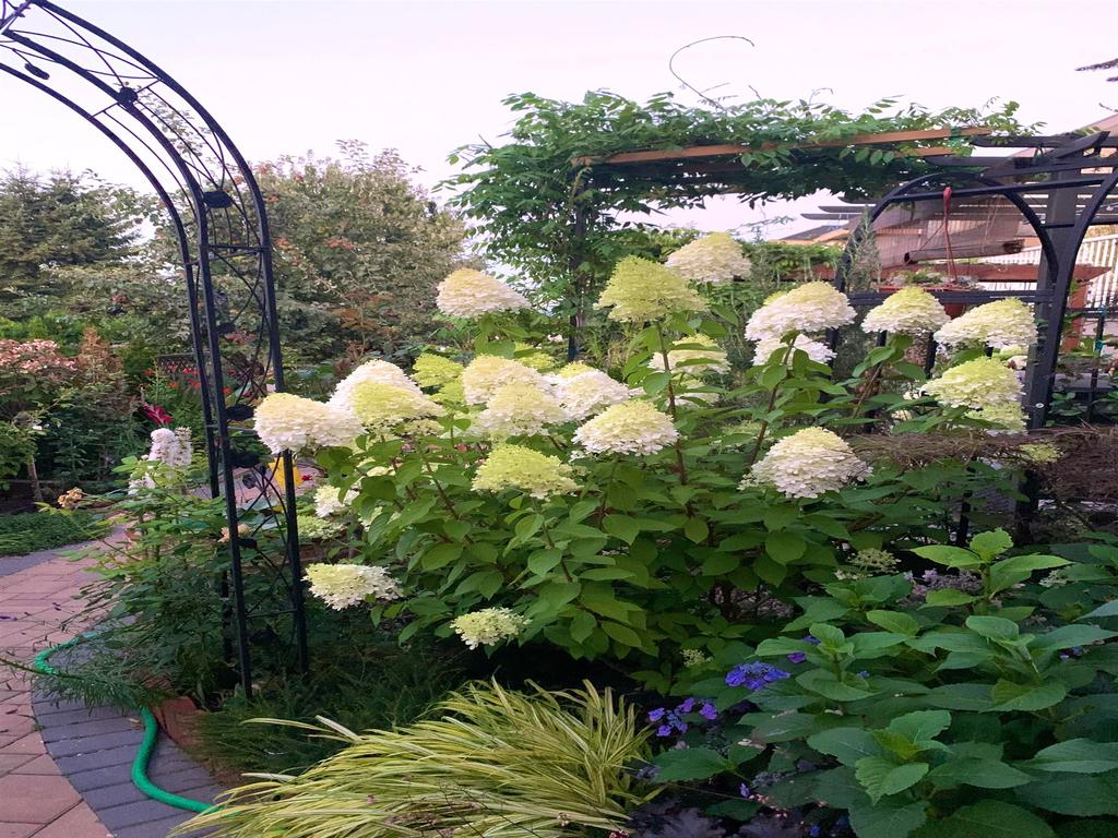 Listing Image for R3111610