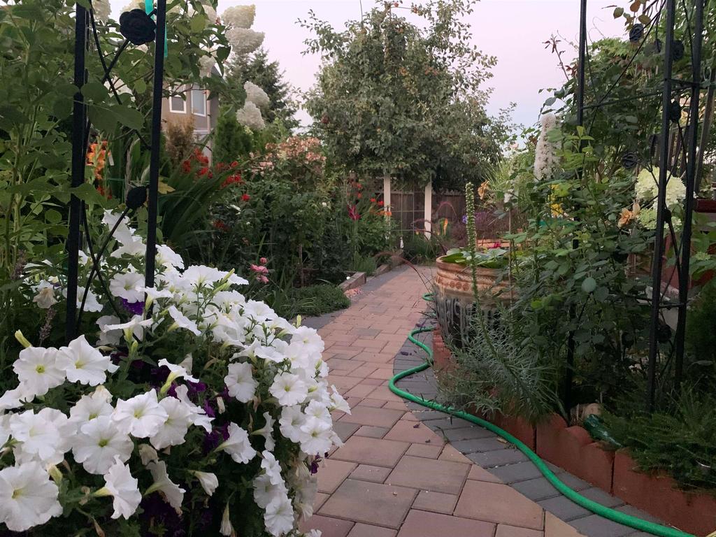 Listing Image for R3111610