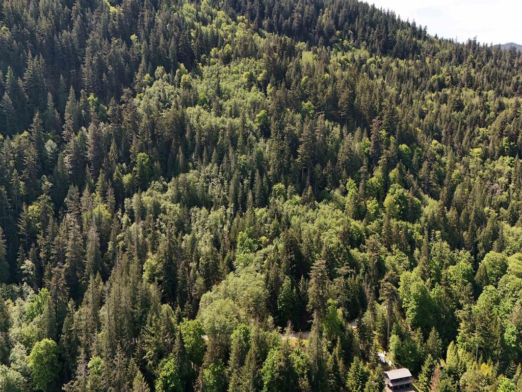 Listing Image for R3111613