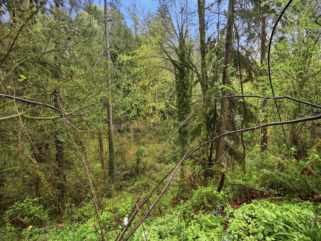 Listing Image for R3112311