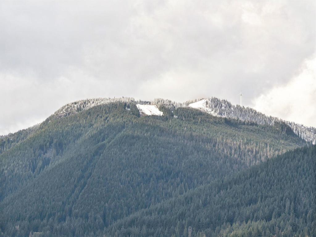 Listing Image for R3112341