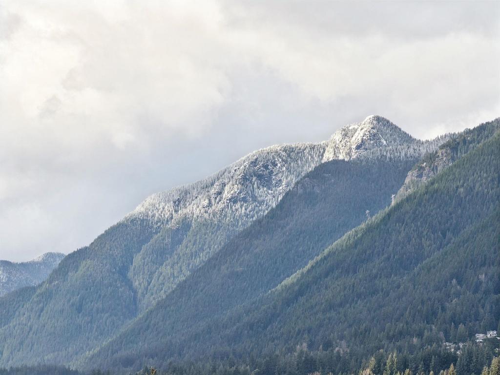 Listing Image for R3112341