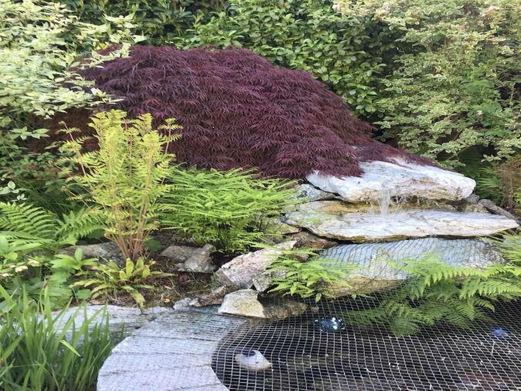 Listing Image for R3112668