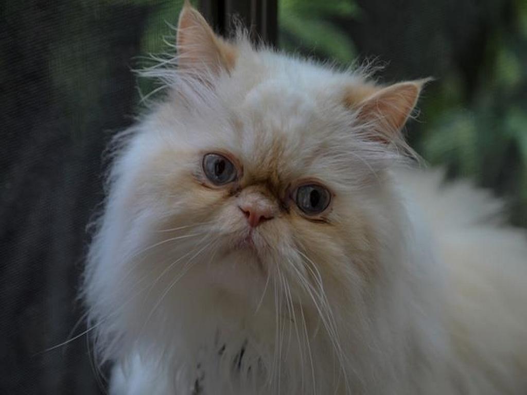 Listing Image for R3112753