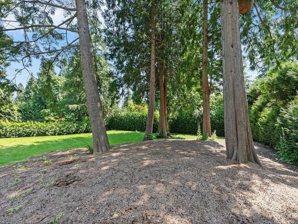 Listing Image for R3113181