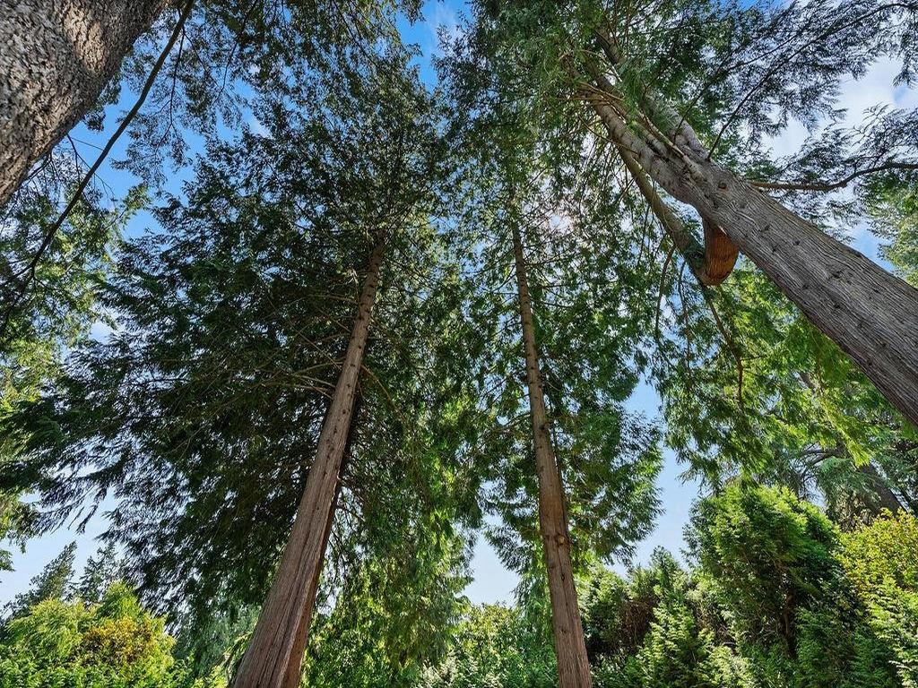 Listing Image for R3113181