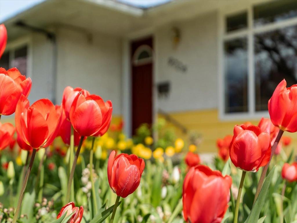 Listing Image for R3113184