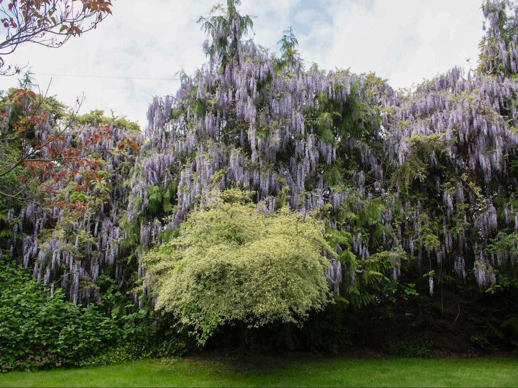 Listing Image for R3113271