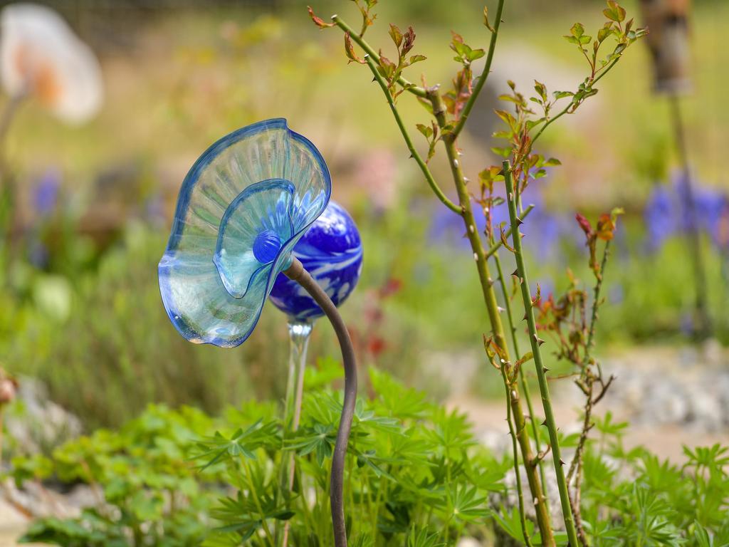 Listing Image for R3113287