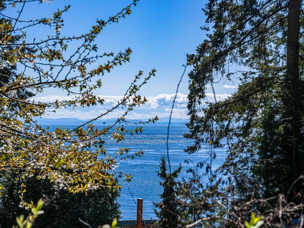 Listing Image for R3113511