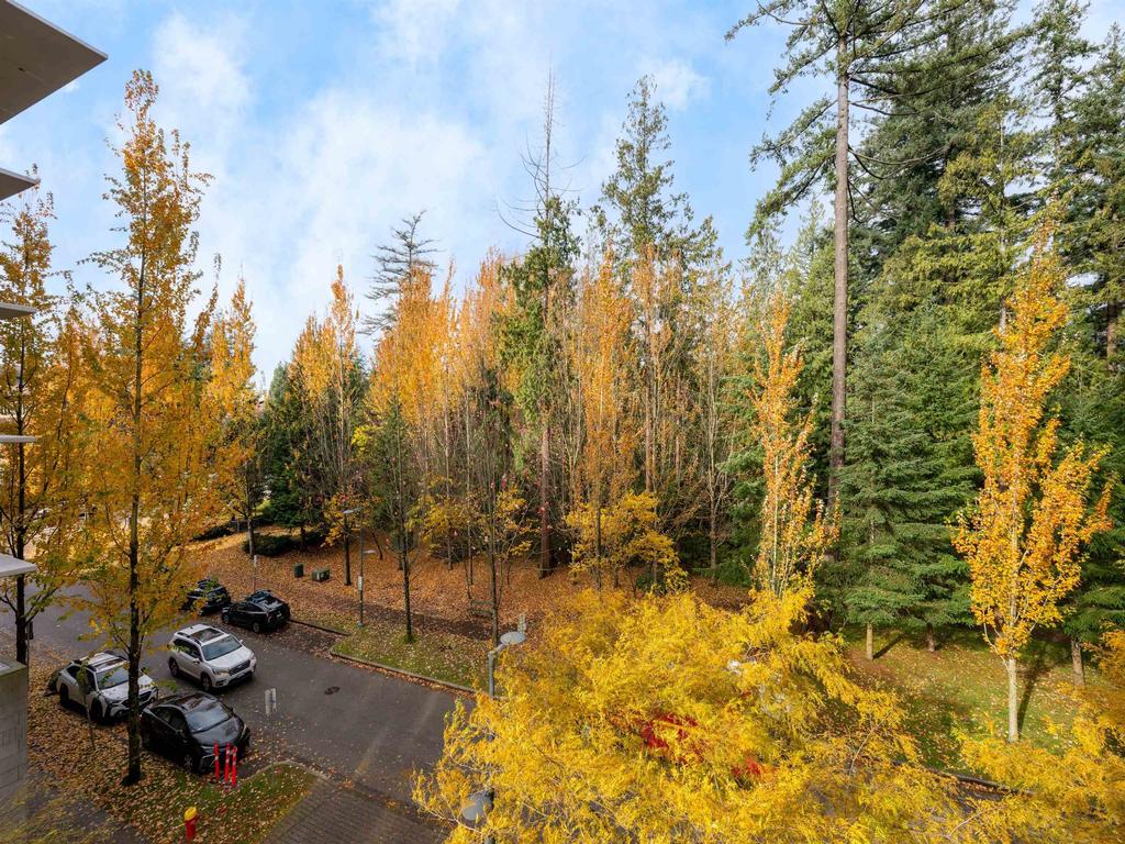 Listing Image for R3113701