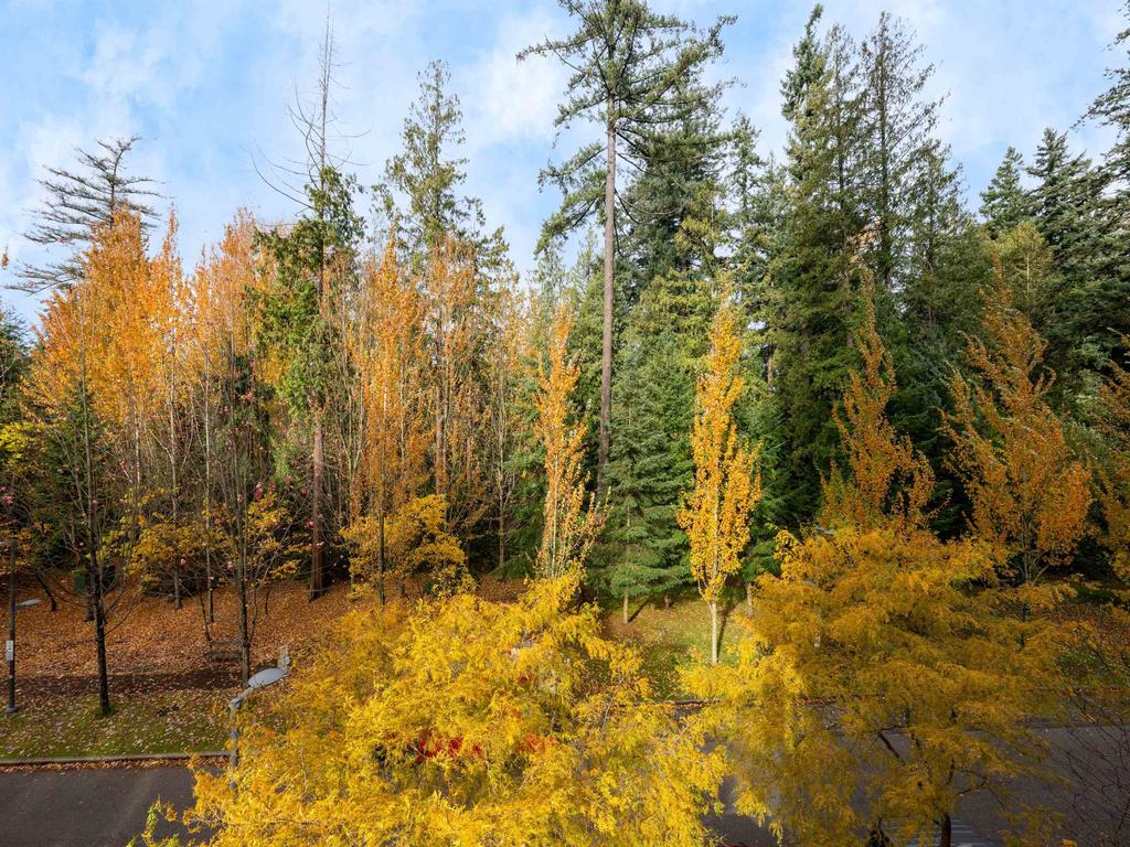 Listing Image for R3113701