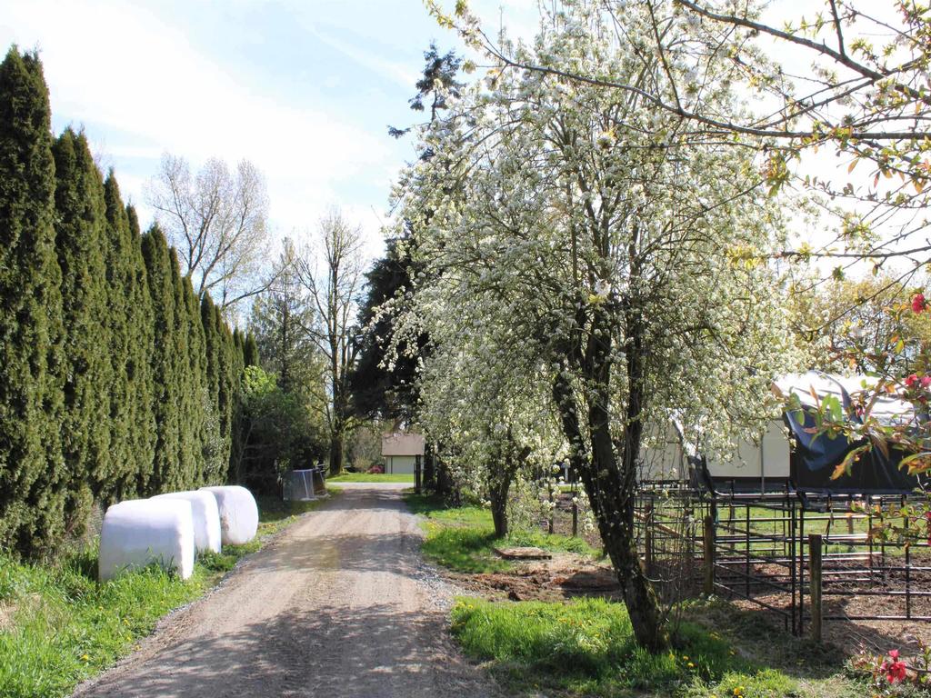 Listing Image for R3114021