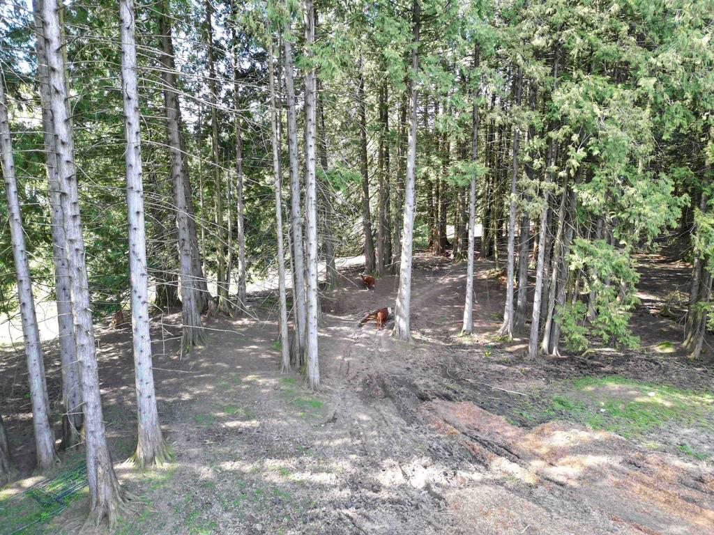 Listing Image for R3114021