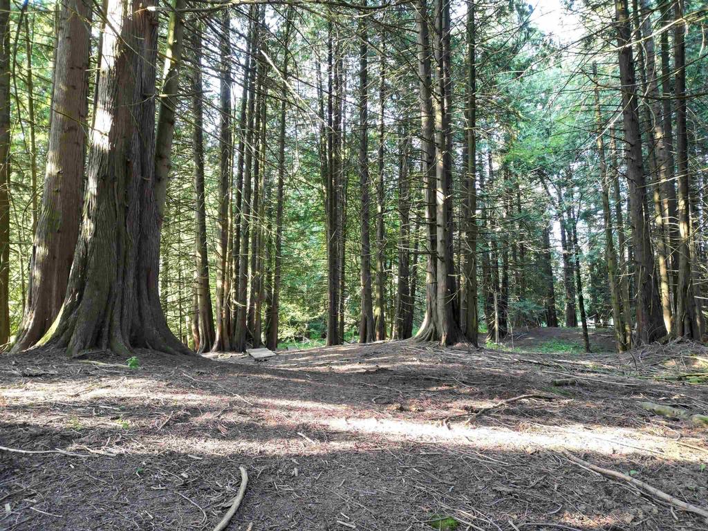 Listing Image for R3114021