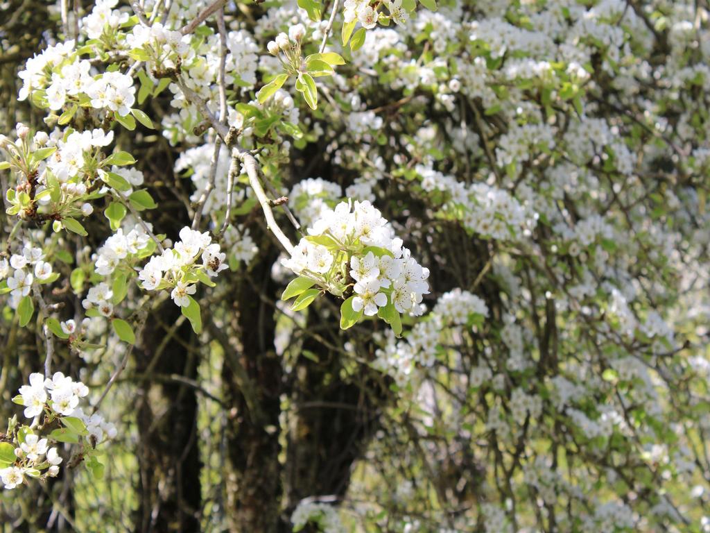 Listing Image for R3114021