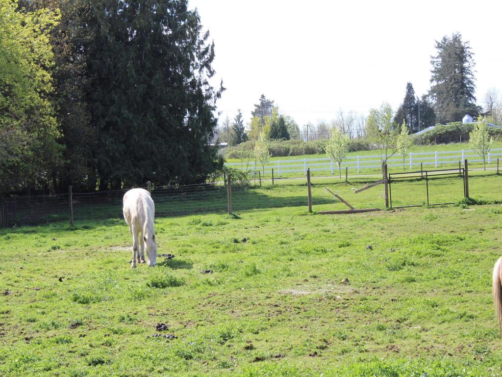 Listing Image for R3114021