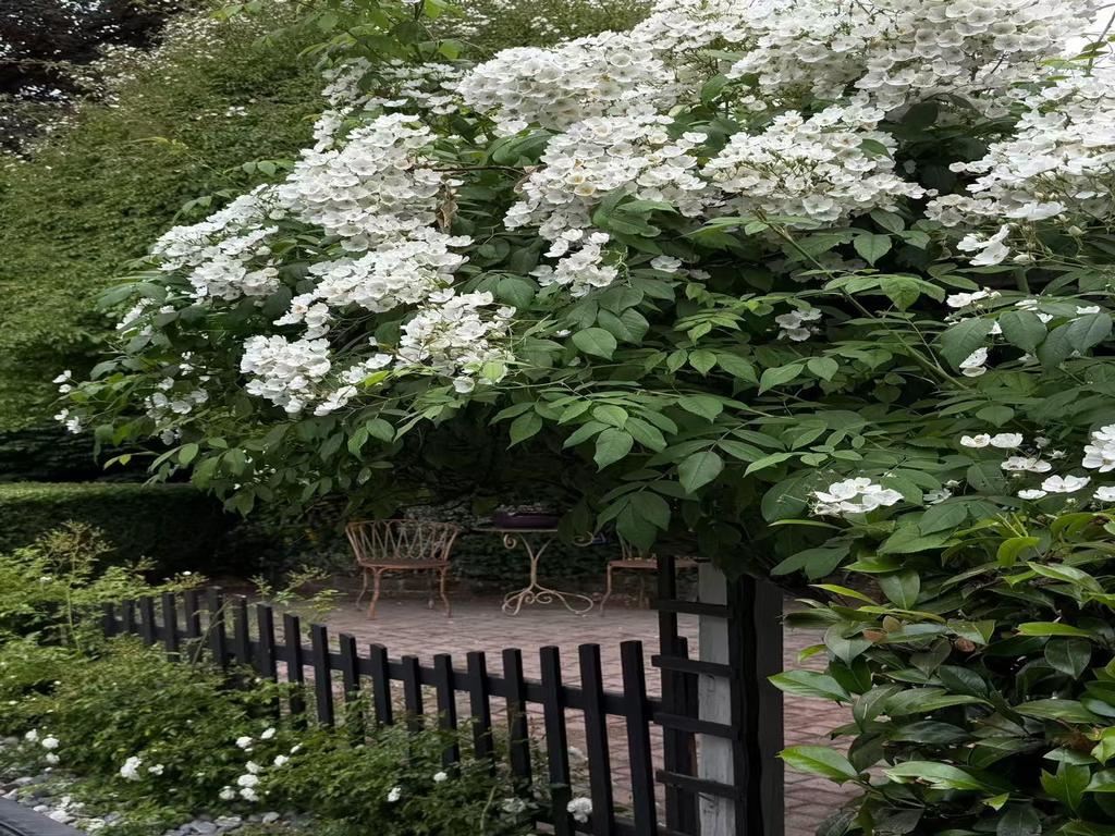 Listing Image for R3114544