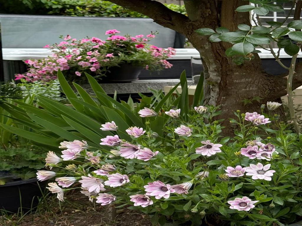 Listing Image for R3114544