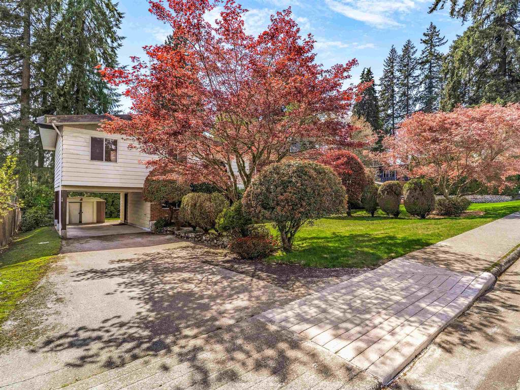 Listing Image for R3114746