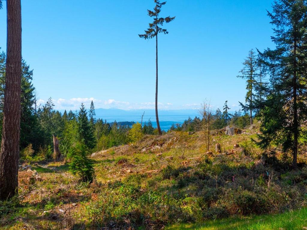 Listing Image for R3114921