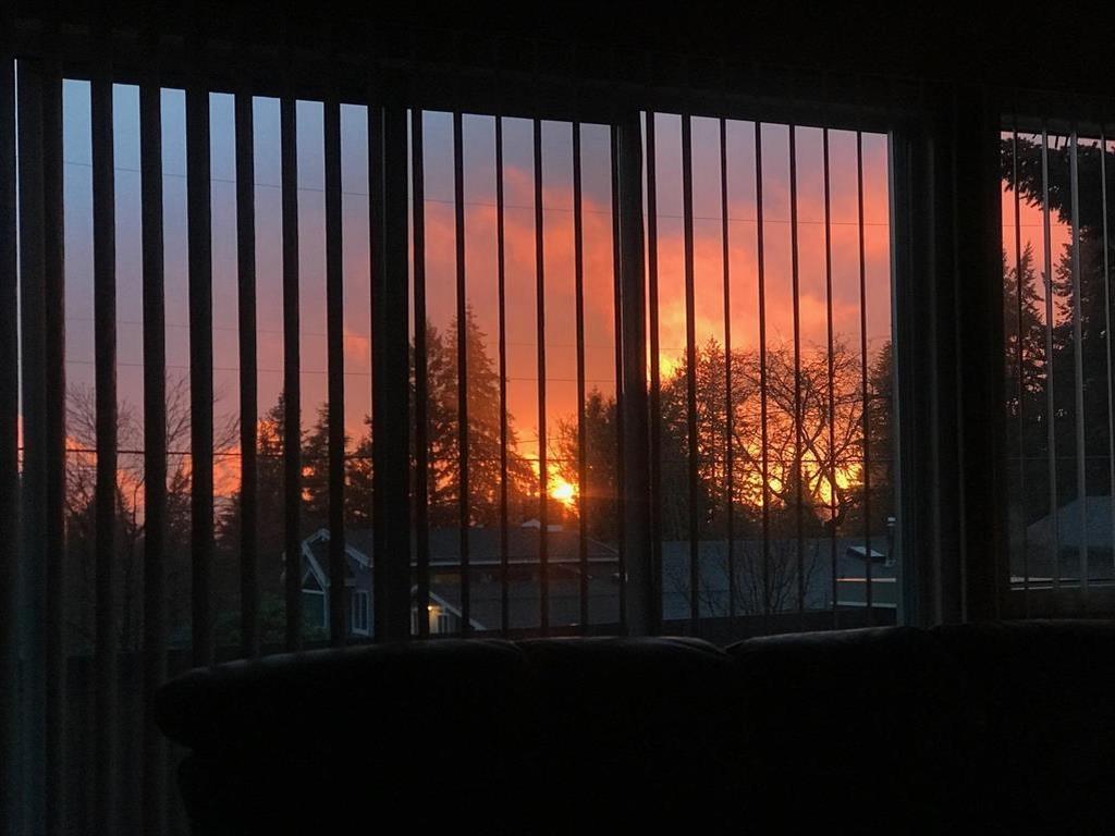 Listing Image for R3115654