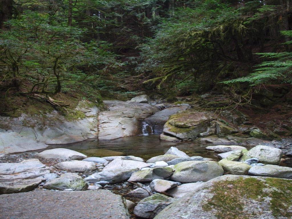 Listing Image for R3115675